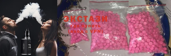 крисы Новокубанск