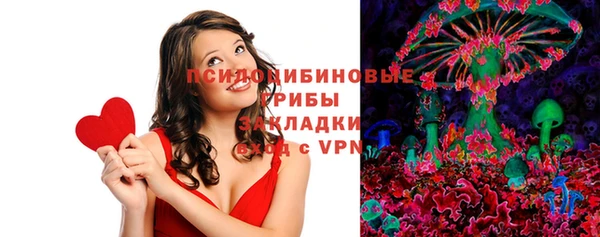 соль ск Алексеевка